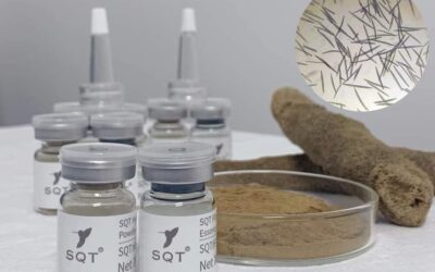 The Art of Skin Renewal: SQT Bio Microneedling at Shiroy